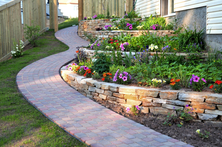 10 plantas perfectas para embellecer tu camino de entrada