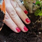 5 formas creativas de usar los restos de café en el jardín