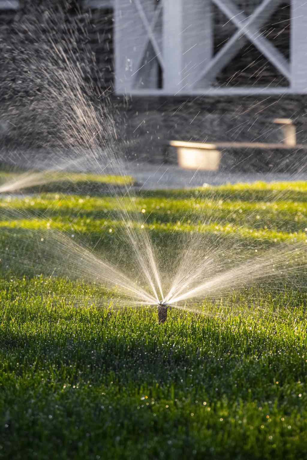 Beneficios del césped en la purificación del agua del jardín