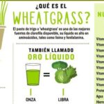 Beneficios nutricionales del pasto verde en tu dieta
