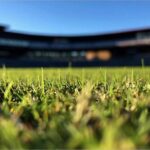 Césped del Estadio Centenario: tipo de hierba utilizada en el campo