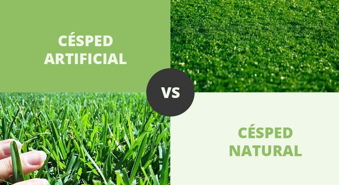 Césped natural o artificial: la opción más económica