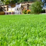 Césped o grama: la opción ideal para tu jardín