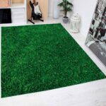Césped tipo alfombra: conoce su variedad y características