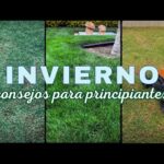 Claves para abonar el césped en invierno