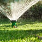 Claves para lograr un césped espectacular en tu jardín