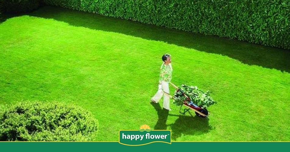 Claves para potenciar el crecimiento del césped en tu jardín