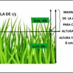Condiciones óptimas de temperatura para el crecimiento del césped