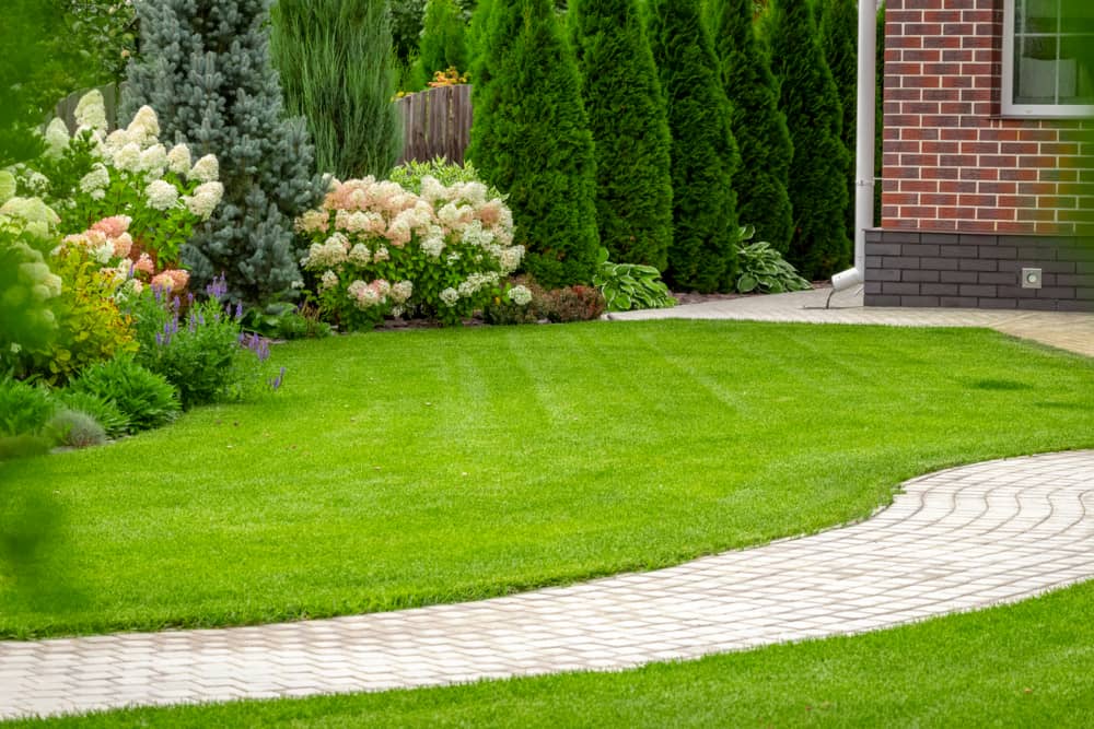 Conoce el césped ideal para tu jardín