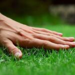 Consejos para mantener tu césped siempre verde y saludable