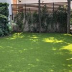 Consejos prácticos para potenciar el crecimiento del pasto