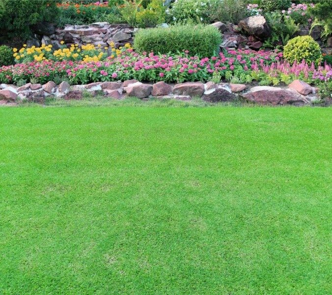 Cultivo de césped invernal: opciones ideales para tu jardín