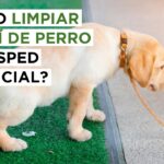 Elimina con eficacia el olor a pis de perro del césped