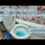 Elimina el olor a orina en tu baño con estos consejos