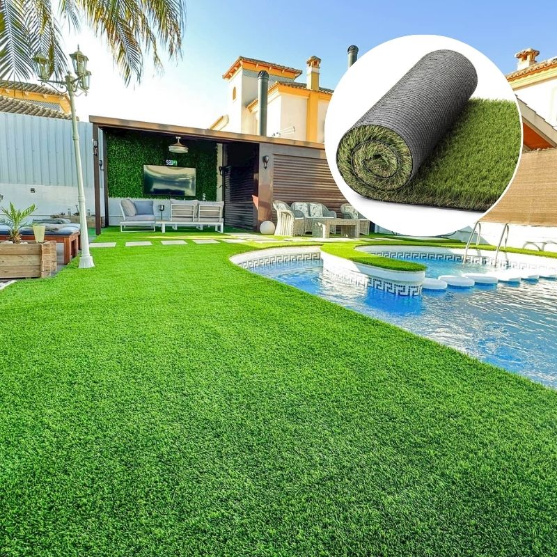 Encuentra el césped perfecto para purificar el agua en casa