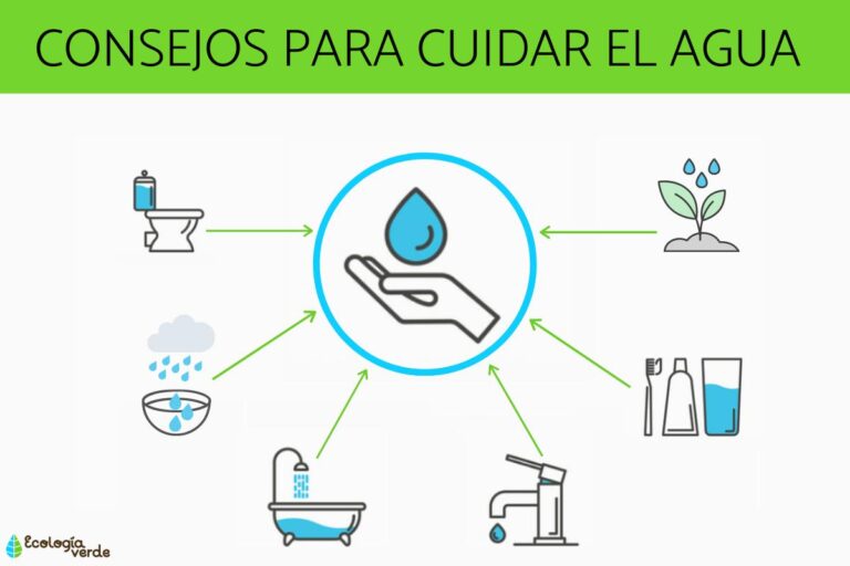 Estrategias efectivas para reutilizar el agua de piscinas