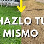 Estrategias para restaurar césped dañado por el sol