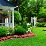 Estrategias para un césped denso y vibrante en tu jardín