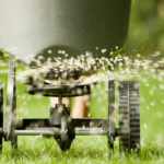 Fertilizantes para césped: elige el ideal para tu jardín