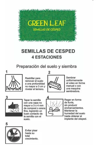 Guía completa sobre el crecimiento del césped en 4 estaciones