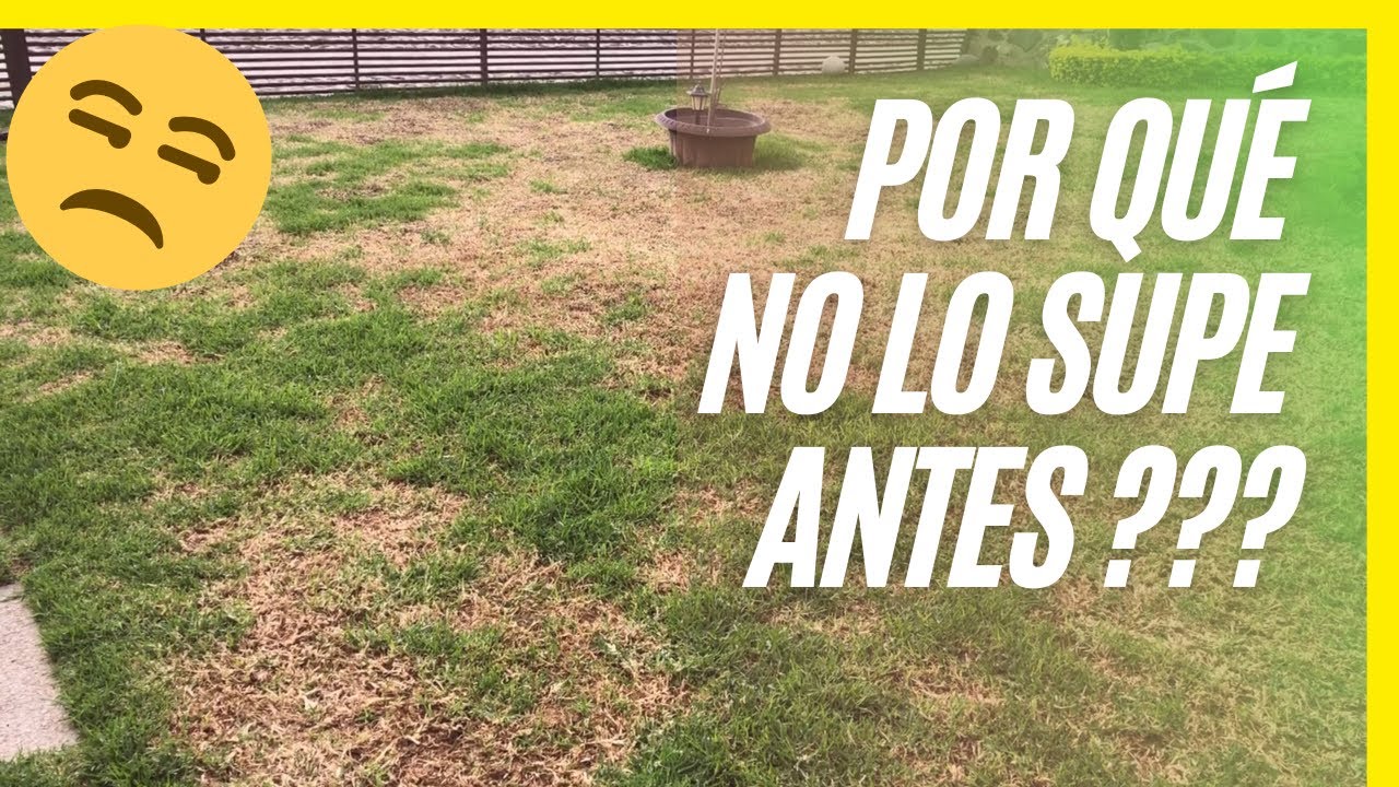 Guía definitiva para crear abono casero para césped