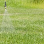 Guía esencial sobre el costo de mantenimiento del césped natural