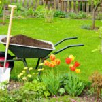 Guía para abonar el césped en invierno y mantenerlo saludable