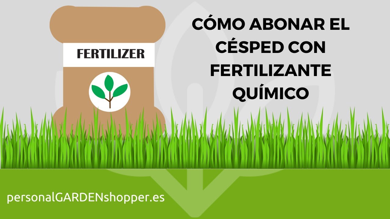 Guía para fertilizar correctamente tu césped
