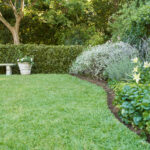 Guía para lograr bordes perfectos en el césped del jardín
