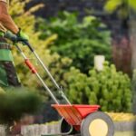 Guía para mantener el césped saludable en otoño e invierno