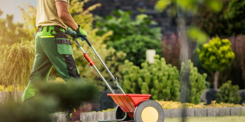 Guía para mantener el césped saludable en otoño e invierno