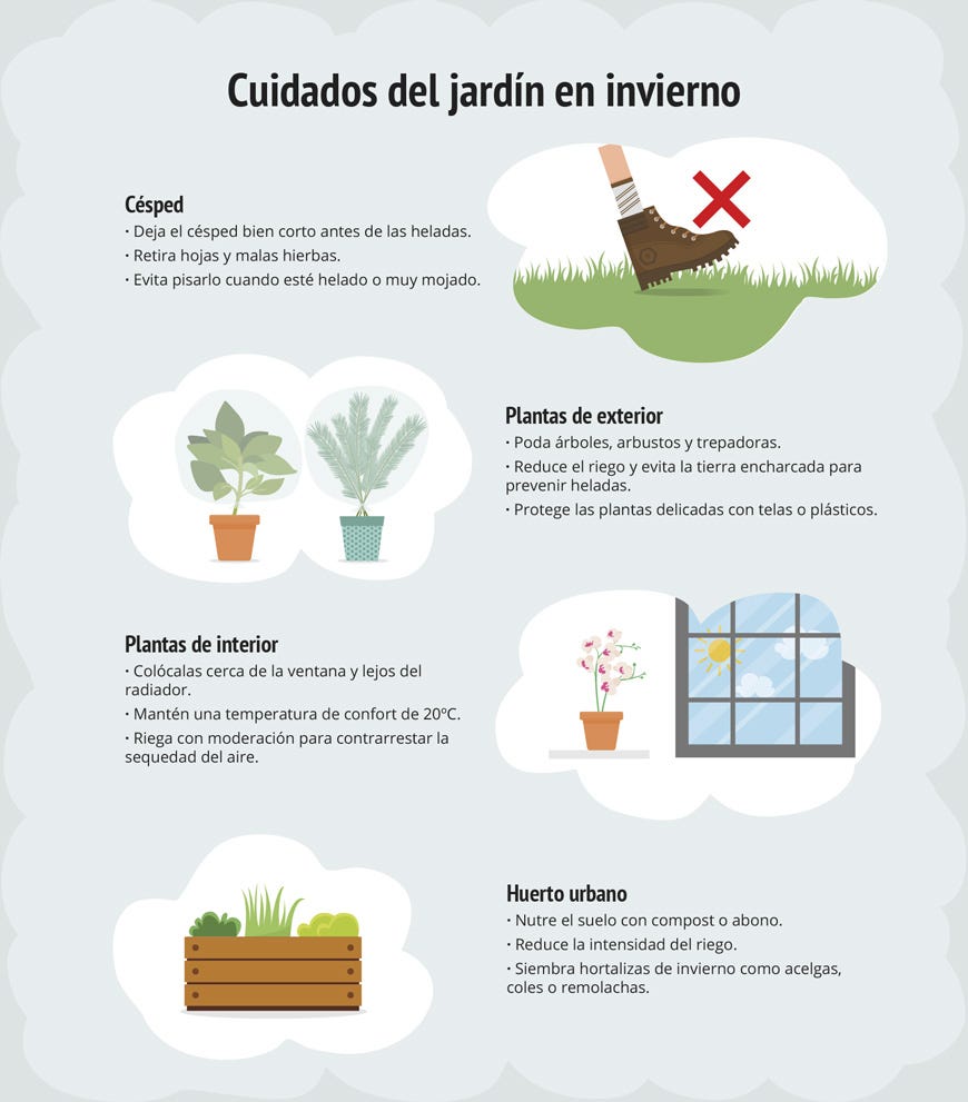Guía práctica para regar el césped en invierno