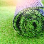 Guía práctica para seleccionar el césped ideal para tu jardín