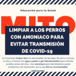 Impacto del amoniaco en la salud canina