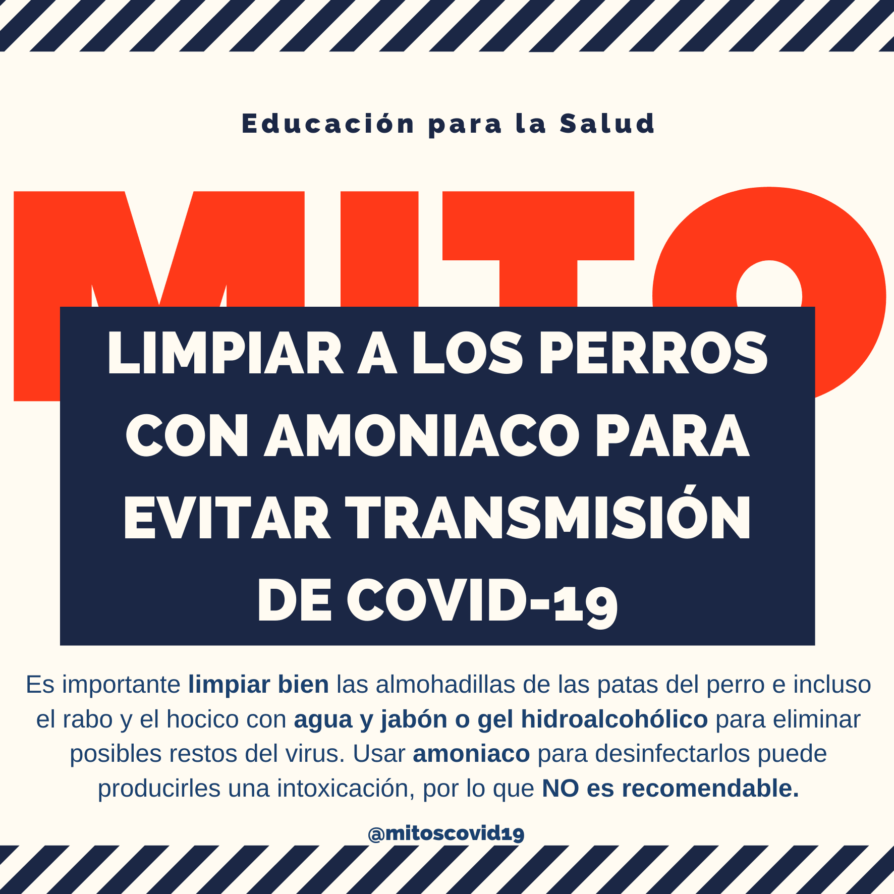 Impacto del amoniaco en la salud canina