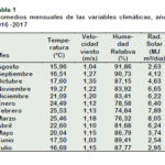 Indicadores para saber si el césped requiere riego