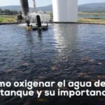 La importancia de oxigenar el agua y sus consecuencias