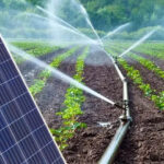Los impactos del riego solar en el crecimiento de plantas