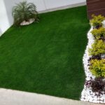 Los mejores tipos de pasto alfombra para embellecer tu jardín