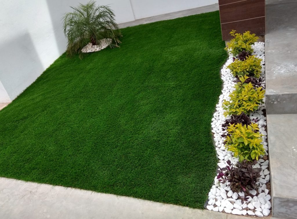 Los mejores tipos de pasto alfombra para embellecer tu jardín
