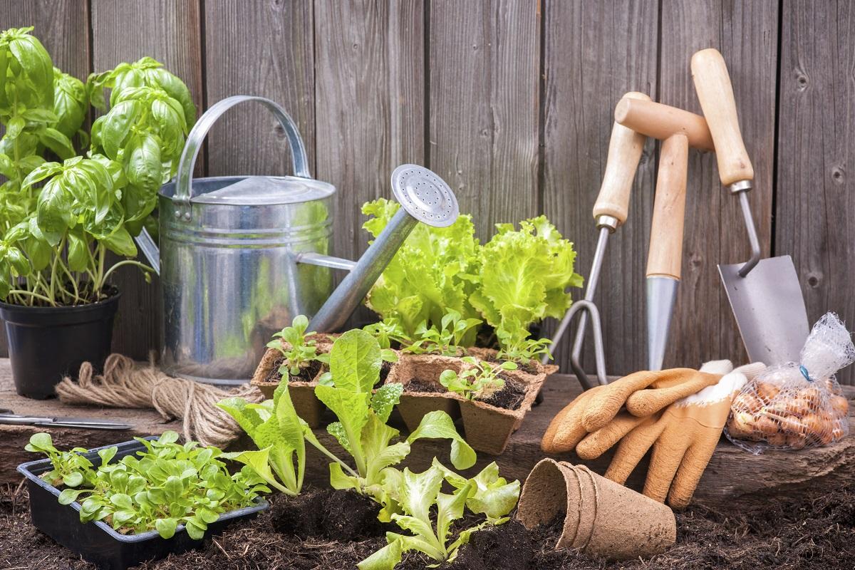Manual práctico para elaborar fertilizante casero para el césped