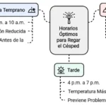 Mejores momentos para regar el césped: mañana o noche