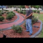 Método infalible para prevenir el pasto bajo las piedras