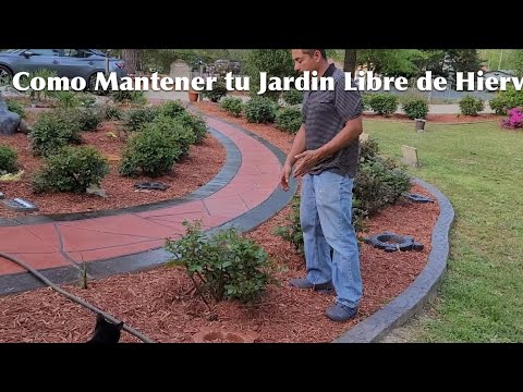 Método infalible para prevenir el pasto bajo las piedras