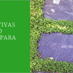 Nombres alternativos del césped: información esencial para ti