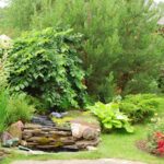 Oasis verde: transforma tu jardín sin pasto en vida