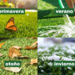 Optimiza el mantenimiento del césped y reduce costos