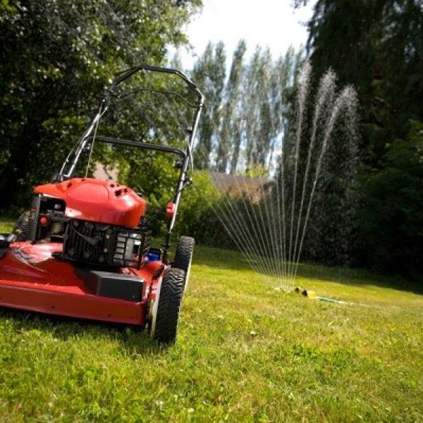 Optimiza la oxigenación del césped para un jardín saludable