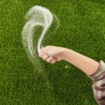 Optimiza tu césped: el momento perfecto para añadir arena