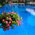 Plantas ideales para embellecer tu área de piscina